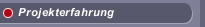 Projekterfahrung